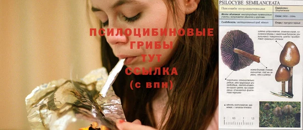 МДПВ Белокуриха